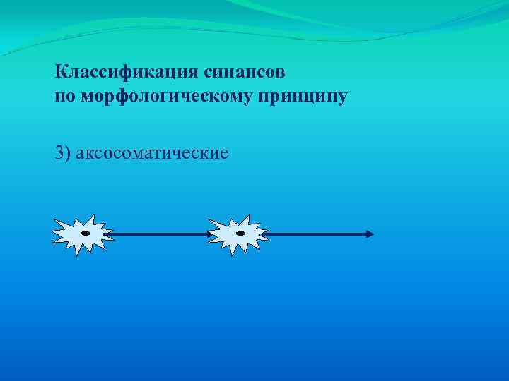 Классификация синапсов по морфологическому принципу 3) аксосоматические 