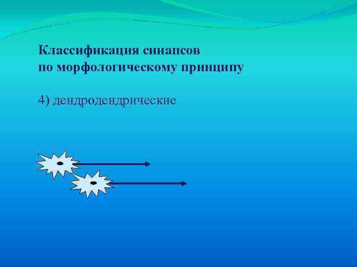 Классификация синапсов по морфологическому принципу 4) дендродендрические 