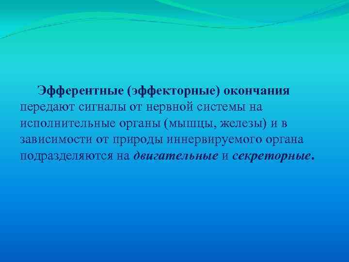 Эфферентные (эффекторные) окончания передают сигналы от нервной системы на исполнительные органы (мышцы, железы) и