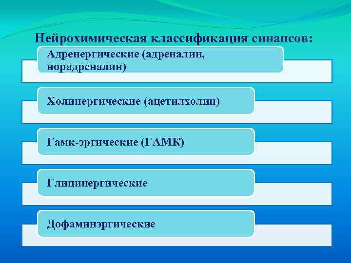 Нейрохимическая классификация синапсов: Адренергические (адреналин, норадреналин) Холинергические (ацетилхолин) Гамк-эргические (ГАМК) Глицинергические Дофаминэргические 