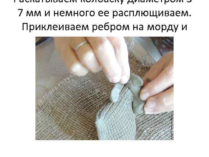 Раскатываем колбаску диаметром 57 мм и немного ее расплющиваем. Приклеиваем ребром на морду и