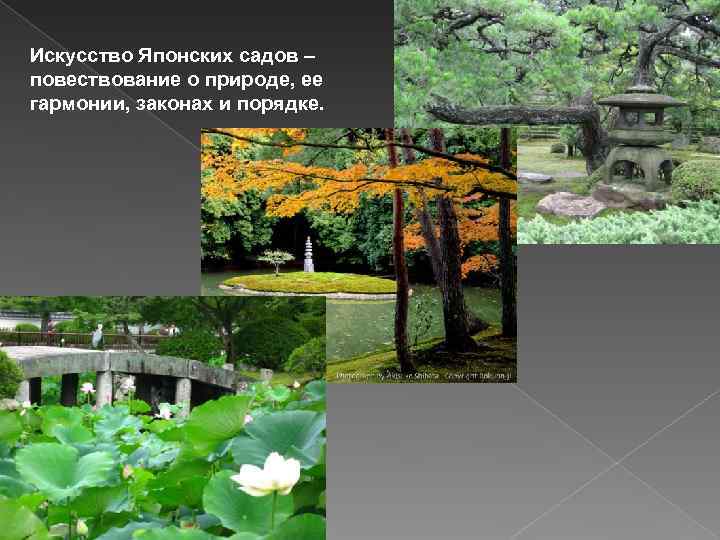 Искусство Японских садов – повествование о природе, ее гармонии, законах и порядке. 