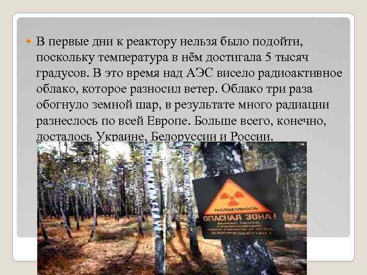  В первые дни к реактору нельзя было подойти, поскольку температура в нём достигала