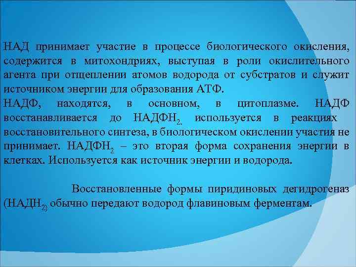 НАД принимает участие в процессе биологического окисления, содержится в митохондриях, выступая в роли окислительного