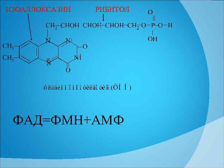 ИЗОАЛЛОКСАЗИН РИБИТОЛ 1 10 ФАД=ФМН+АМФ 
