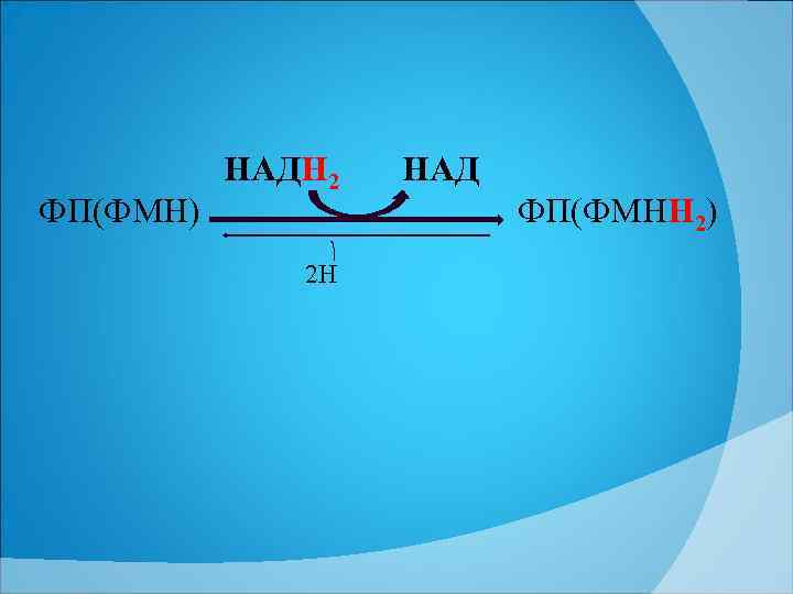 ФП(ФМН) НАДН 2 2 Н НАД ФП(ФМНН 2) 