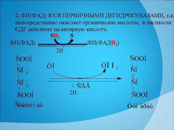 2. ФП(ФАД) Я/СЯ ПЕРВИЧНЫМИ ДЕГИДРОГЕНАЗАМИ, т. к. непосредственно окисляет органические кислоты, в частности СДГ