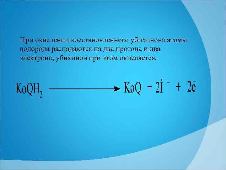 При окислении восстановленного убихинона атомы водорода распадаются на два протона и два электрона, убихинон