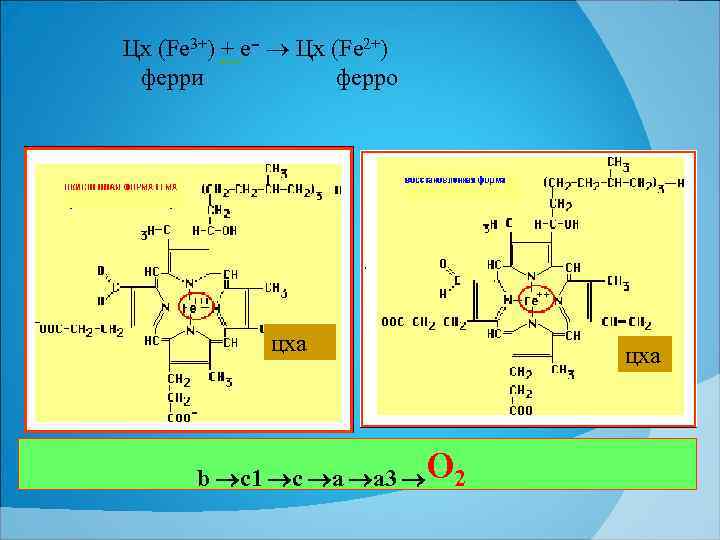 Цх (Fe 3+) + e ־ Цх (Fe 2+) ферри ферро цха b c