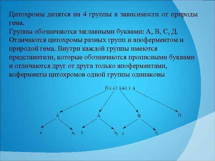 Цитохромы делятся на 4 группы в зависимости от природы гема. Группы обозначаются заглавными буквами: