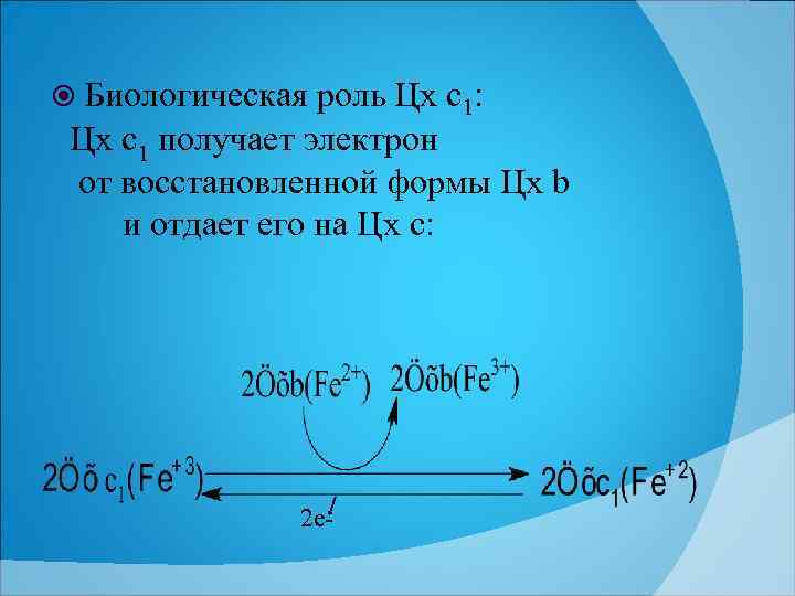  Биологическая роль Цх с1: Цх с1 получает электрон от восстановленной формы Цх b
