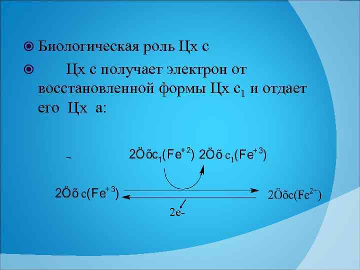  Биологическая роль Цх с получает электрон от восстановленной формы Цх с1 и отдает