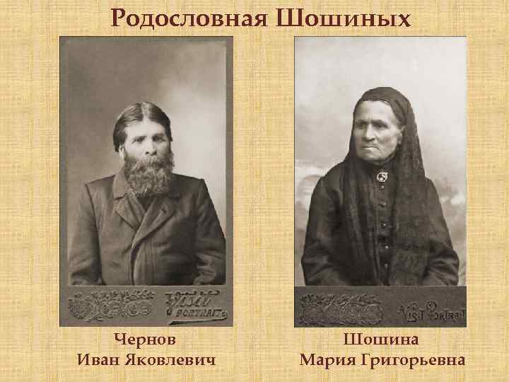 Родословная Шошиных Чернов Иван Яковлевич Шошина Мария Григорьевна 