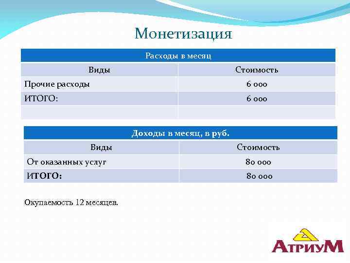 Монетизация Расходы в месяц Виды Стоимость Прочие расходы 6 000 ИТОГО: 6 000 Доходы