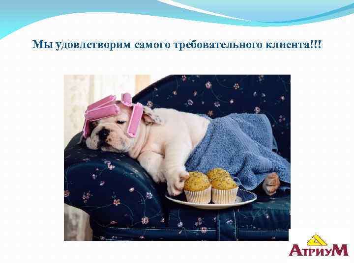 Мы удовлетворим самого требовательного клиента!!! 