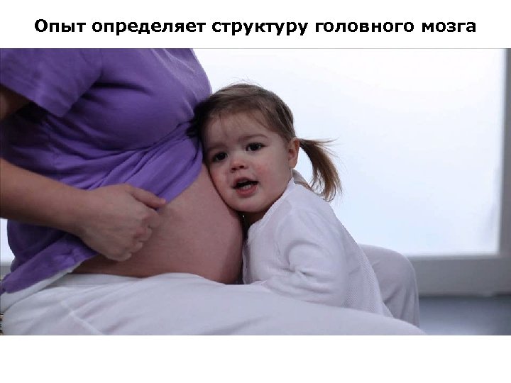 Опыт определяет структуру головного мозга 