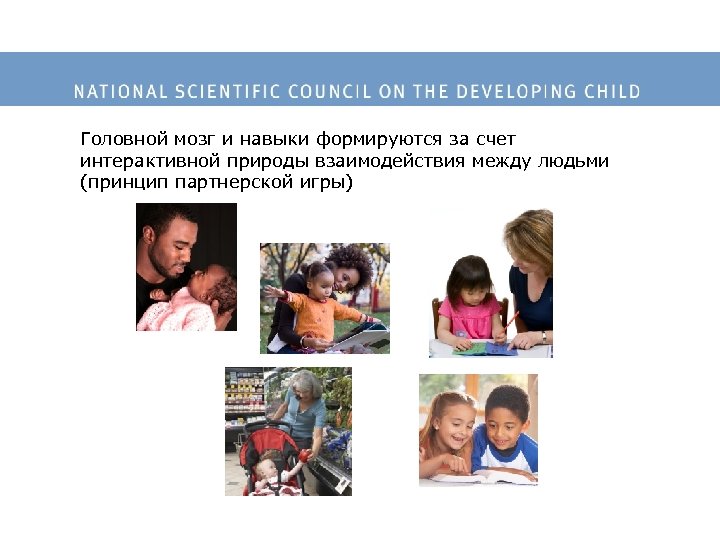 Головной мозг и навыки формируются за счет интерактивной природы взаимодействия между людьми (принцип партнерской