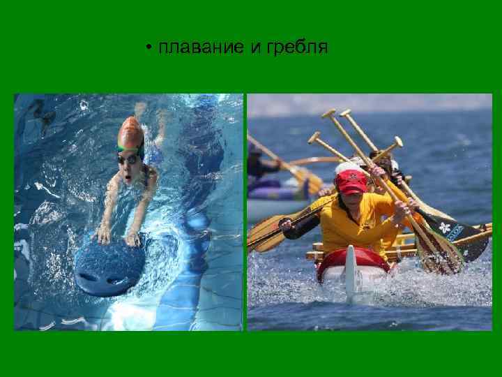  • плавание и гребля 
