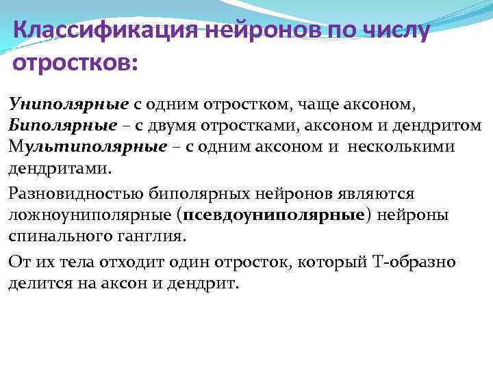 Классификация нейронов по числу отростков: Униполярные с одним отростком, чаще аксоном, Биполярные – с