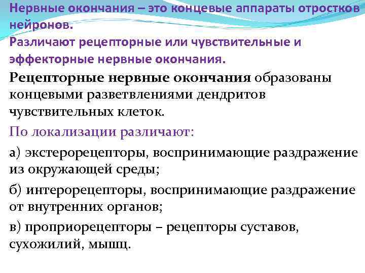 Нервные окончания – это концевые аппараты отростков нейронов. Различают рецепторные или чувствительные и эффекторные