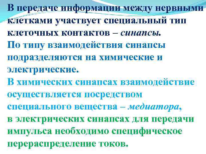 В передаче информации между нервными клетками участвует специальный тип клеточных контактов – синапсы. По