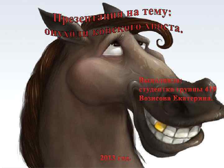 Выполнила: студентка группы 419 Возисова Екатерина. 2013 год. 