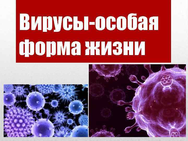 Вирусы-особая форма жизни 