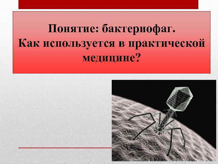 Понятие: бактериофаг. Как используется в практической медицине? 
