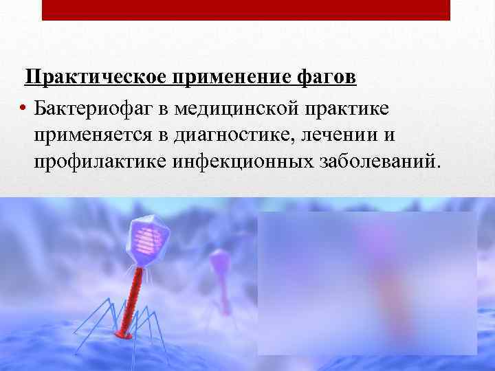 Практическое применение фагов • Бактериофаг в медицинской практике применяется в диагностике, лечении и профилактике