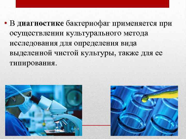  • В диагностике бактериофаг применяется при осуществлении культурального метода исследования для определения вида