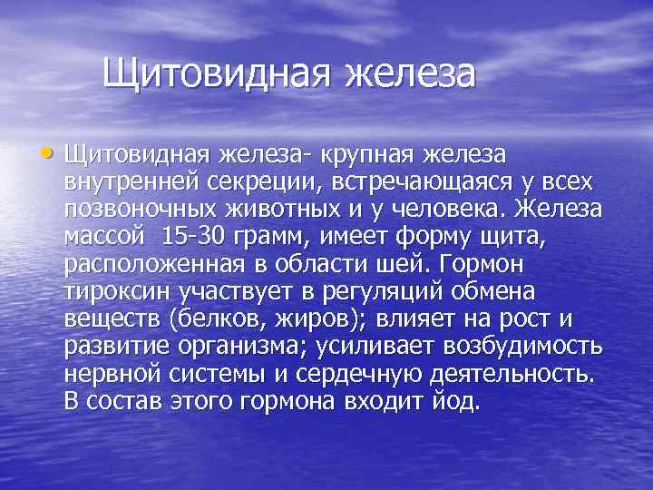 Щитовидная железа • Щитовидная железа- крупная железа внутренней секреции, встречающаяся у всех позвоночных животных