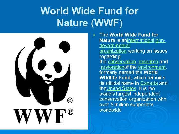 World Wide Fund for Nature (WWF) Ø The World Wide Fund for Nature is