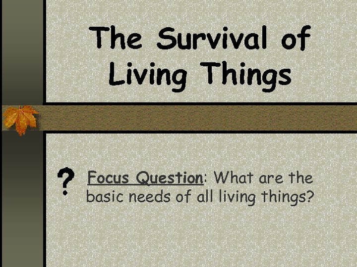 The Survival of Living Things Focus Question: What are the basic needs of all