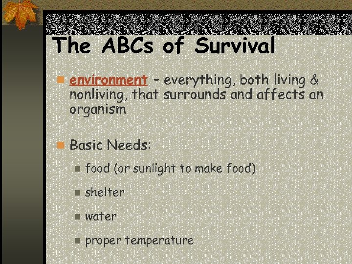 The ABCs of Survival n environment – everything, both living & nonliving, that surrounds