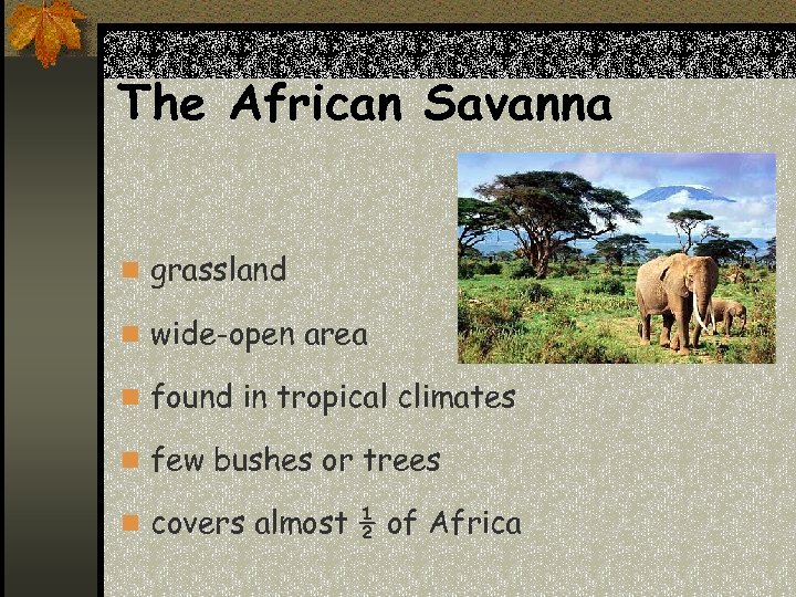 The African Savanna n grassland n wide-open area n found in tropical climates n