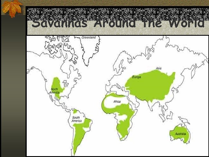 Savannas Around the World 