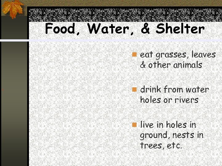 Food, Water, & Shelter n eat grasses, leaves & other animals n drink from