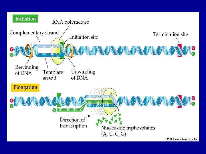 Figure 12. 4 – Part 1 