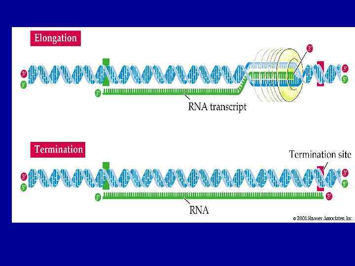 Figure 12. 4 – Part 2 