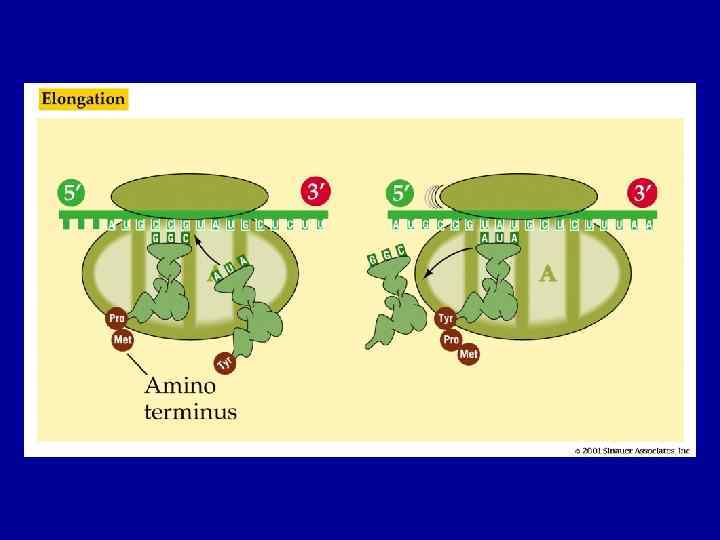 Figure 12. 11 – Part 2 