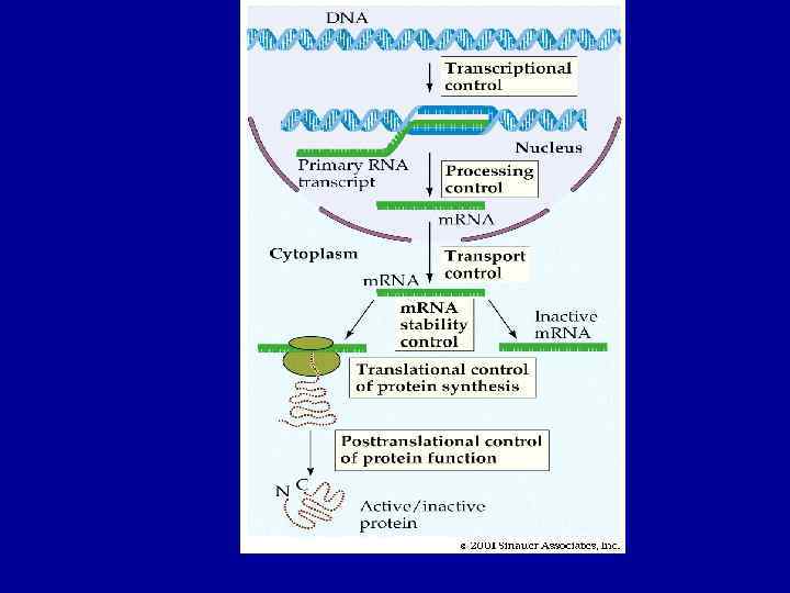 figure 14 -13. jpg 14. 13 