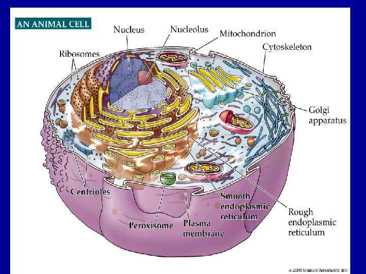 4. 7 – Part 1 Figure 4. 7 – Part 1 