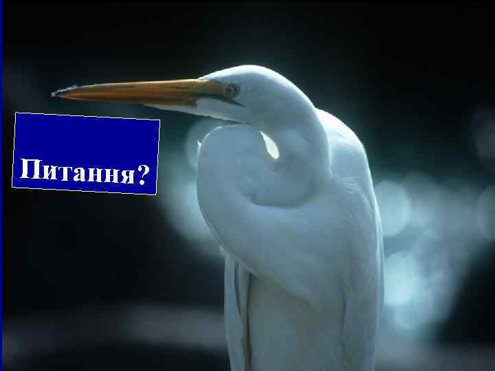 figure 14 -02. jpg 14. 2 Питання? 