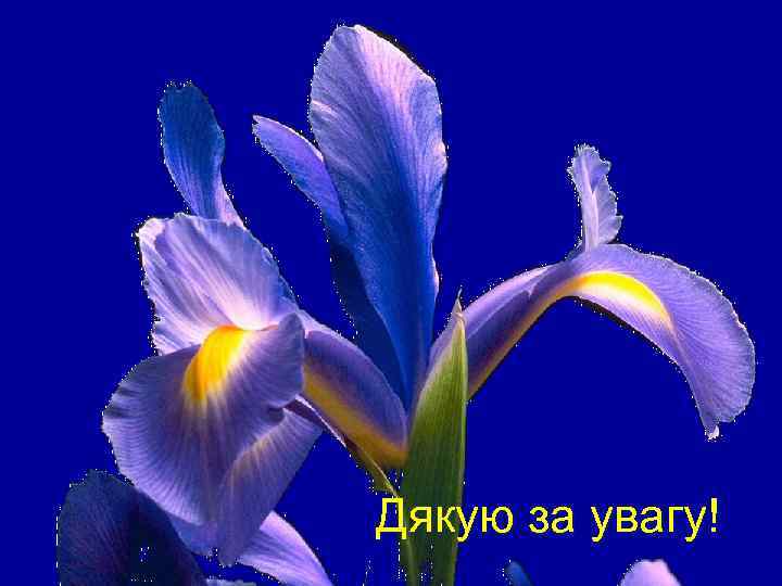 Дякую за увагу! 