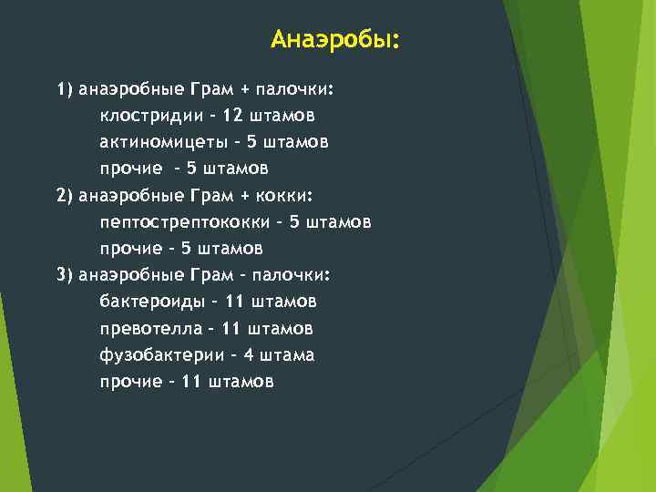 Анаэробы: 1) анаэробные Грам + палочки: клостридии - 12 штамов актиномицеты - 5 штамов