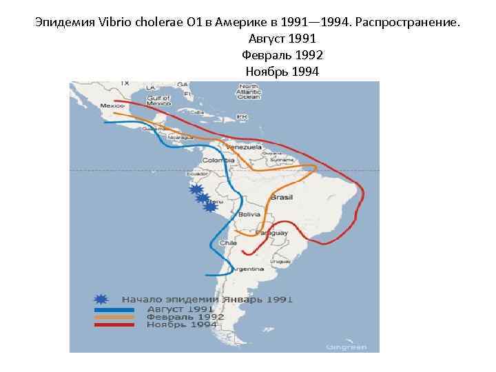 Эпидемия Vibrio cholerae O 1 в Америке в 1991— 1994. Распространение. Август 1991 Февраль