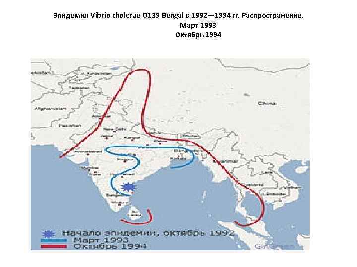 Эпидемия Vibrio cholerae O 139 Bengal в 1992— 1994 гг. Распространение. Март 1993 Октябрь