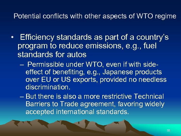 Potential conflicts with other aspects of WTO regime • Efficiency standards as part of