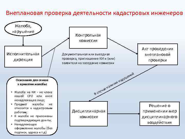  Внеплановая проверка деятельности кадастровых инженеров Жалоба, нарушение Исполнительная дирекция Контрольная комиссия Документальная или