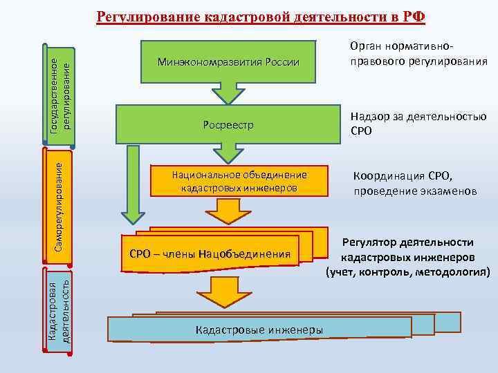 Кадастровая деятельность Саморегулирование Государственное регулирование Регулирование кадастровой деятельности в РФ Минэкономразвития России Росреестр Национальное